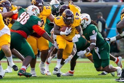 COLLEGE FOOTBALL: NOV 18 Florida A&M vs Bethune-Cookman